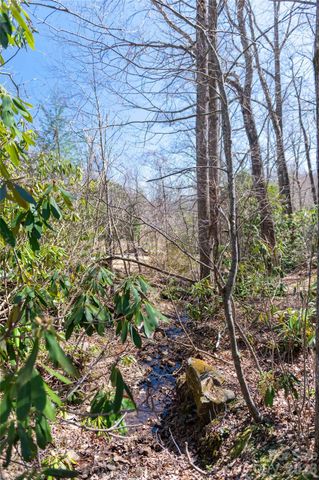 99 Banjo Branch Road, Burnsville, NC 28714