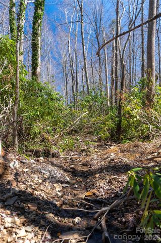 99 Banjo Branch Road, Burnsville, NC 28714