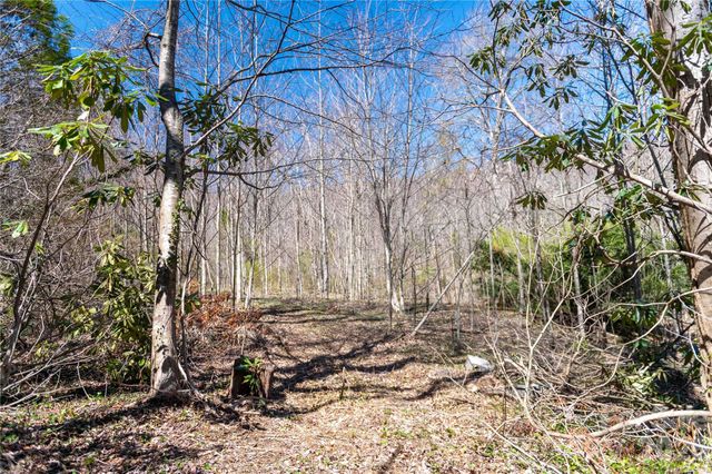 99 Banjo Branch Road, Burnsville, NC 28714