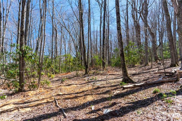 99 Banjo Branch Road, Burnsville, NC 28714