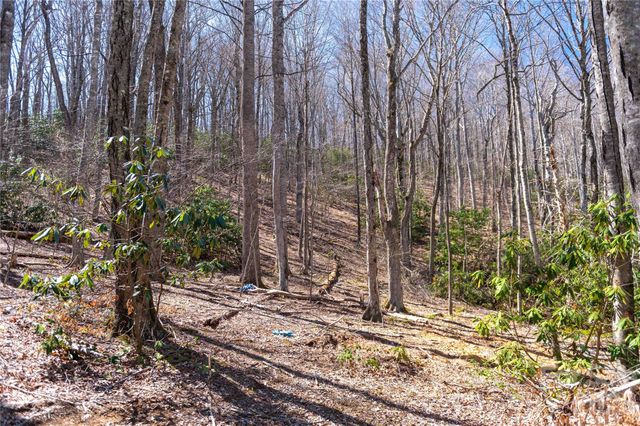 99 Banjo Branch Road, Burnsville, NC 28714