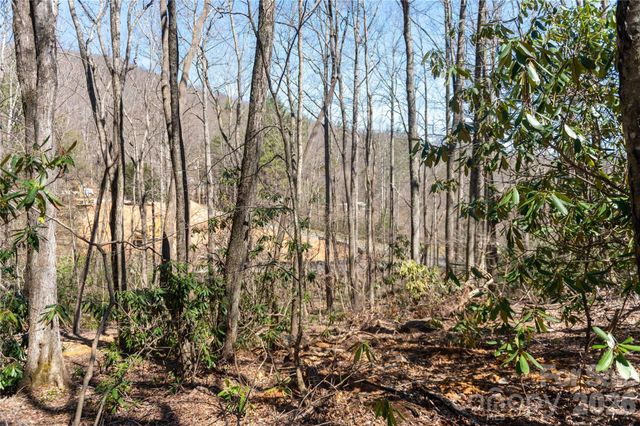 99 Banjo Branch Road, Burnsville, NC 28714
