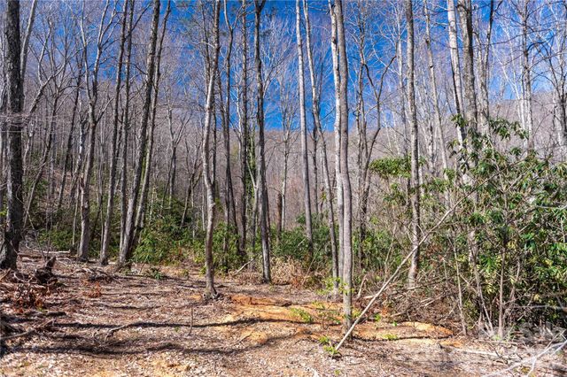 99 Banjo Branch Road, Burnsville, NC 28714