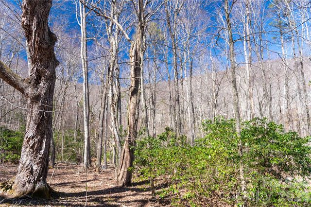 99 Banjo Branch Road, Burnsville, NC 28714