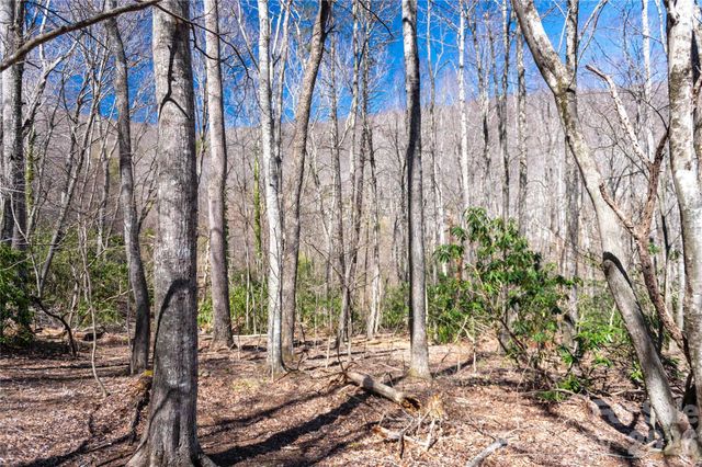 99 Banjo Branch Road, Burnsville, NC 28714