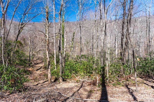 99 Banjo Branch Road, Burnsville, NC 28714