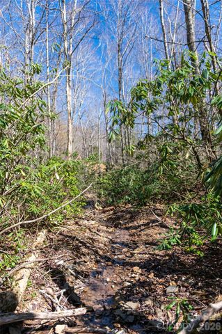 99 Banjo Branch Road, Burnsville, NC 28714