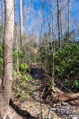 99 Banjo Branch Road, Burnsville, NC 28714