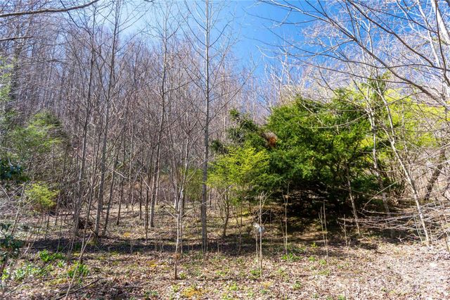 99 Banjo Branch Road, Burnsville, NC 28714