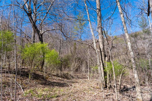 99 Banjo Branch Road, Burnsville, NC 28714