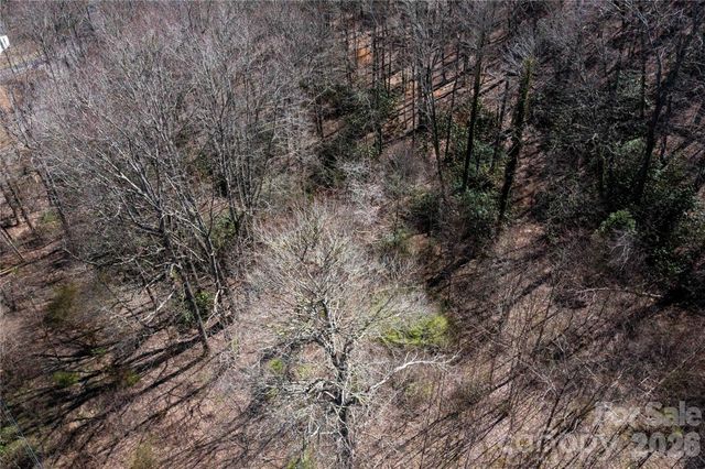 99 Banjo Branch Road, Burnsville, NC 28714