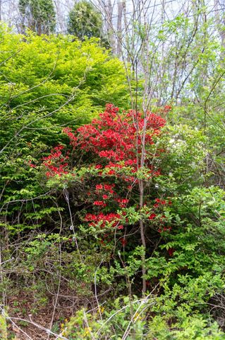99 Banjo Branch Road, Burnsville, NC 28714