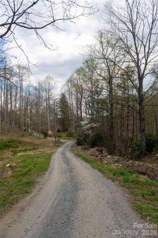 99 Banjo Branch Road, Burnsville, NC 28714