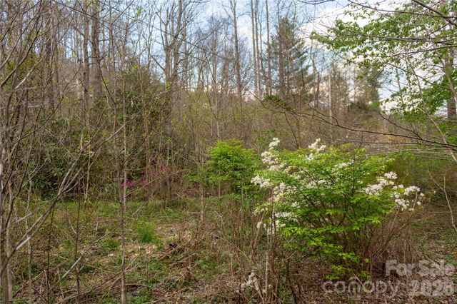 99 Banjo Branch Road, Burnsville, NC 28714