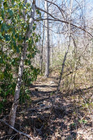 99 Banjo Branch Road, Burnsville, NC 28714