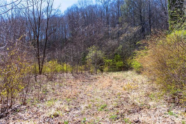 99 Banjo Branch Road, Burnsville, NC 28714