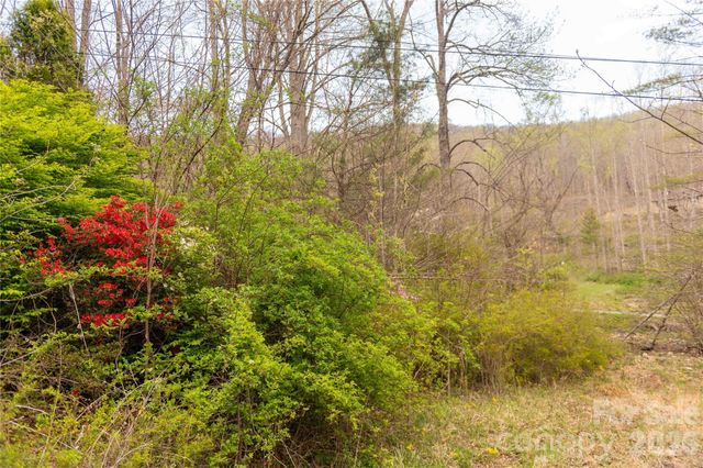 99 Banjo Branch Road, Burnsville, NC 28714