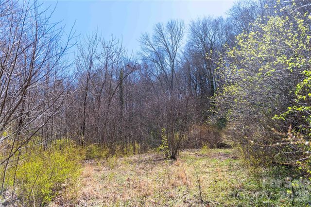 99 Banjo Branch Road, Burnsville, NC 28714