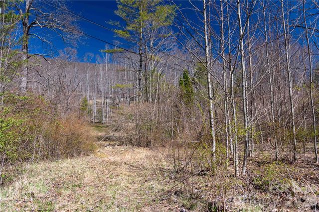 99 Banjo Branch Road, Burnsville, NC 28714