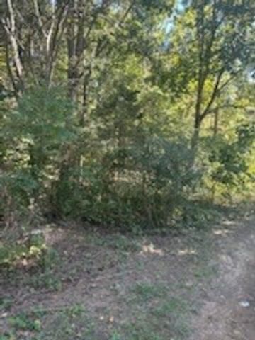 1101 Chestnut Dr, Burns, TN 37029