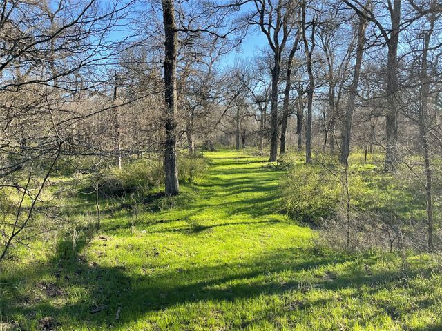 3141 Rogers Road, Jacksboro, TX 76458