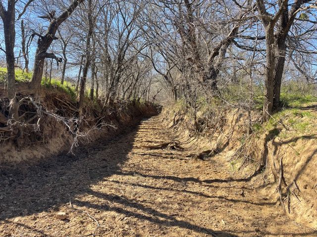 3141 Rogers Road, Jacksboro, TX 76458