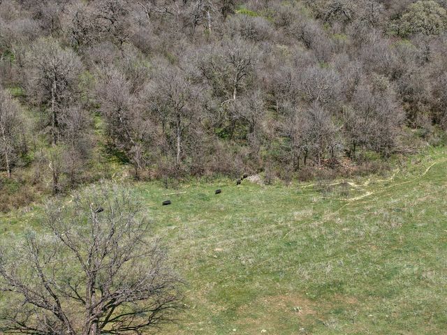 3141 Rogers Road, Jacksboro, TX 76458