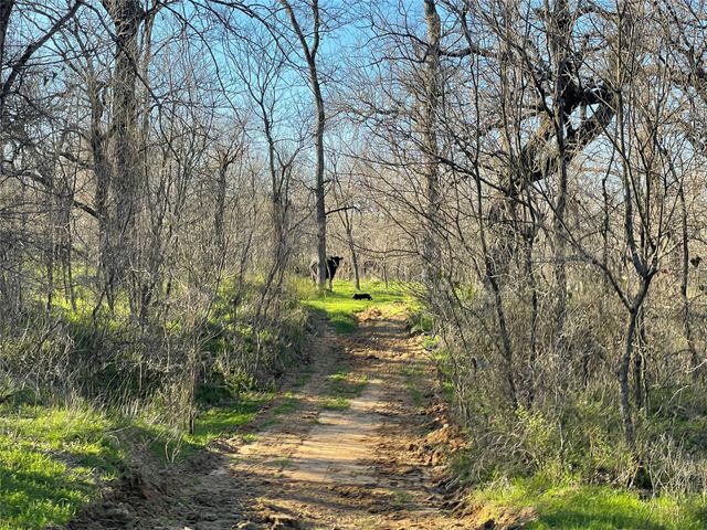 3141 Rogers Road, Jacksboro, TX 76458