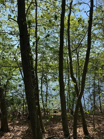 108 Dudley Rd, Wayland, MA 01778