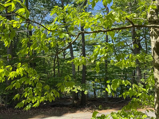 108 Dudley Rd, Wayland, MA 01778