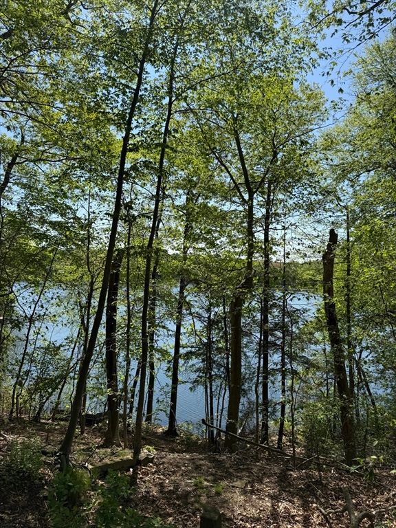 108 Dudley Rd, Wayland, MA 01778