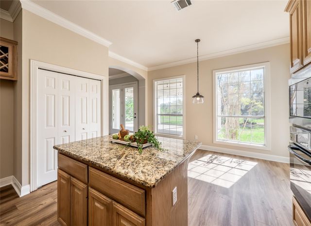 117 Vista Oaks DR, Dripping Springs, TX 78620