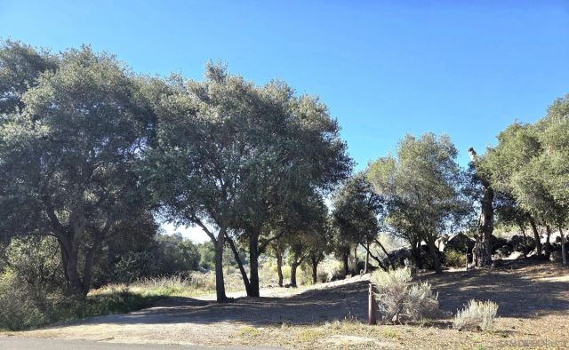 2581 Lake Shore Drive, Campo, CA 91906