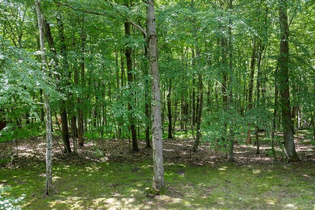 137 Old Camby Road, Verbank, NY 12585