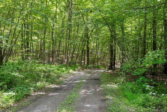 137 Old Camby Road, Verbank, NY 12585