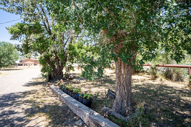 604 Ortega Road NW, Los Ranchos, NM 87114