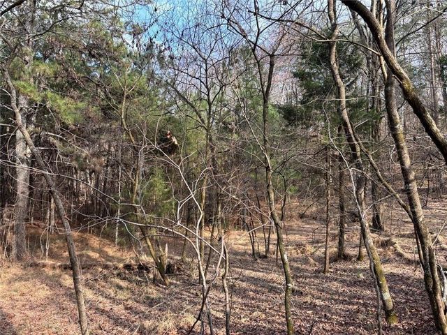 292 Shirley Road SE, Ranger, GA 30734
