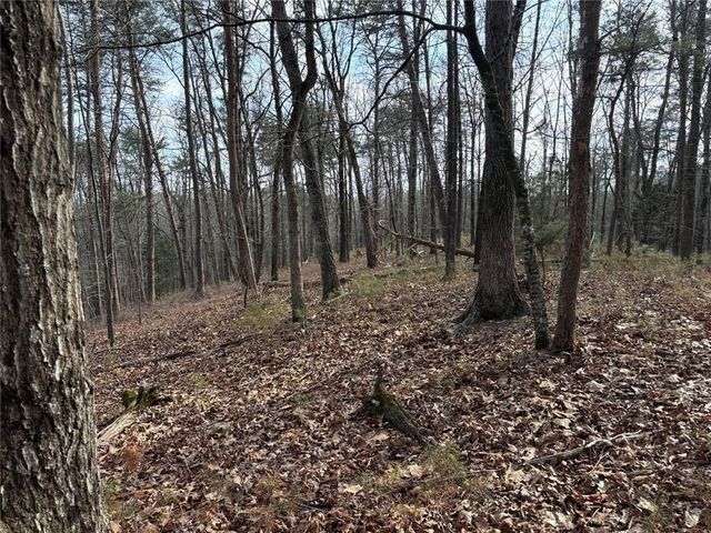 292 Shirley Road SE, Ranger, GA 30734