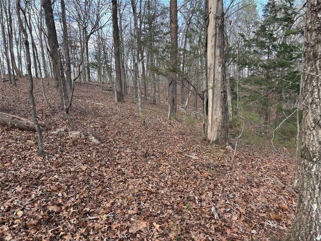 292 Shirley Road SE, Ranger, GA 30734