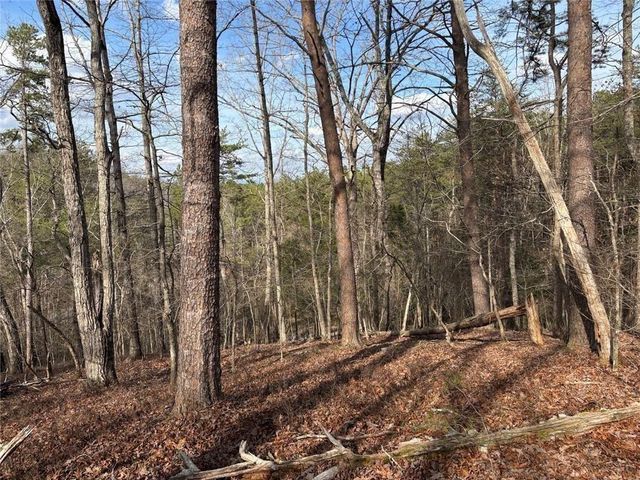 292 Shirley Road SE, Ranger, GA 30734