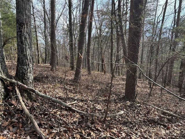 292 Shirley Road SE, Ranger, GA 30734