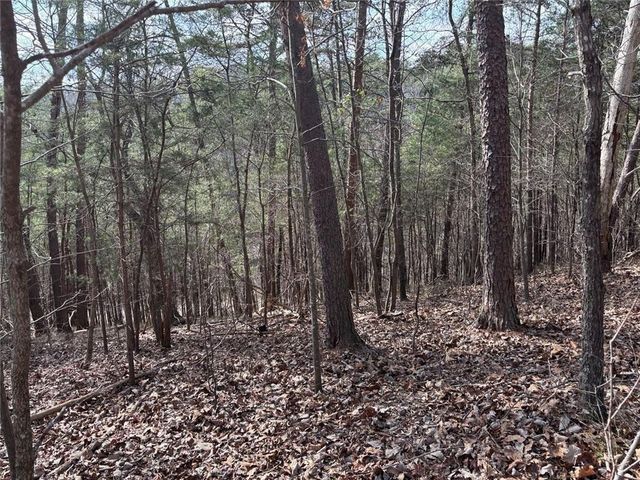 292 Shirley Road SE, Ranger, GA 30734