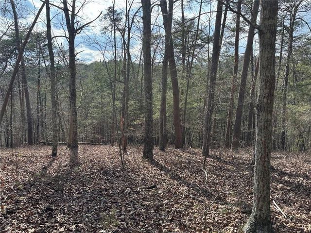 292 Shirley Road SE, Ranger, GA 30734