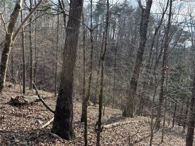 292 Shirley Road SE, Ranger, GA 30734