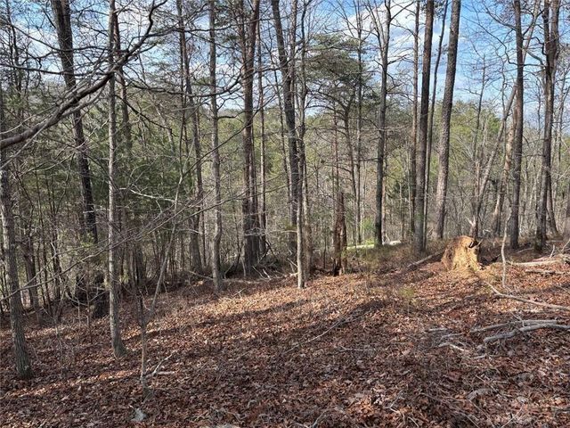 292 Shirley Road SE, Ranger, GA 30734