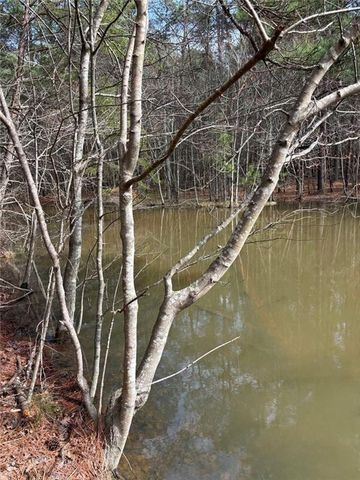 292 Shirley Road SE, Ranger, GA 30734