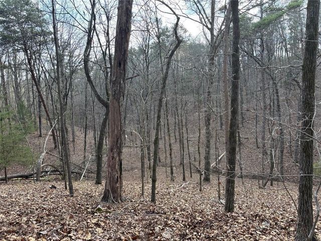 292 Shirley Road SE, Ranger, GA 30734