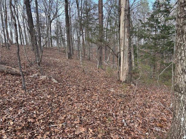292 Shirley Road SE, Ranger, GA 30734