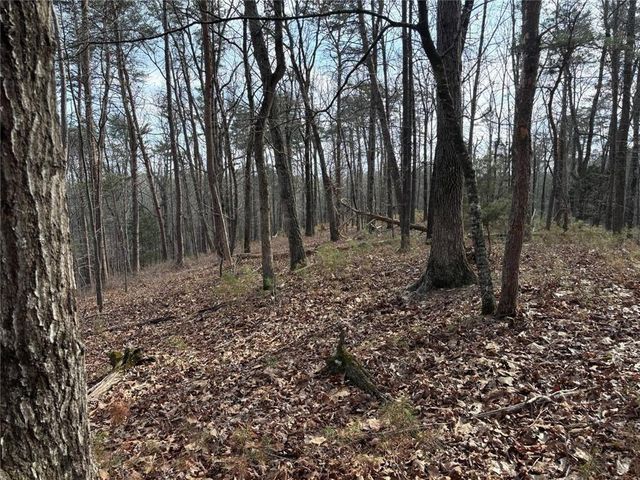 292 Shirley Road SE, Ranger, GA 30734