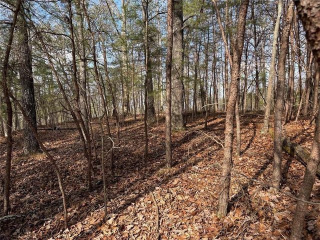 292 Shirley Road SE, Ranger, GA 30734